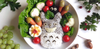 Totoro Bento