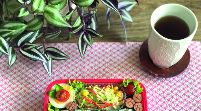 Nanos OBENTO Teil 14: Onigirazu-BENTO Onigirazu-Bento