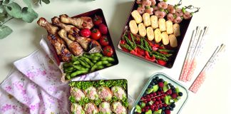 Nanos OBENTO Teil 21: Frühlingspicknick-BENTO