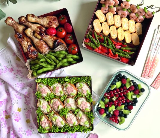 Nanos OBENTO Teil 21: Frühlingspicknick-BENTO