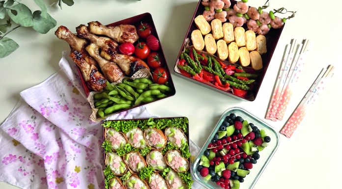 Nanos OBENTO Teil 21: Frühlingspicknick-BENTO